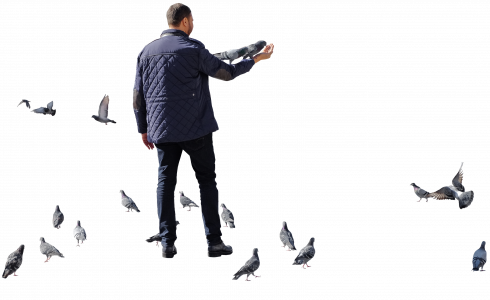 man between pigeons 26