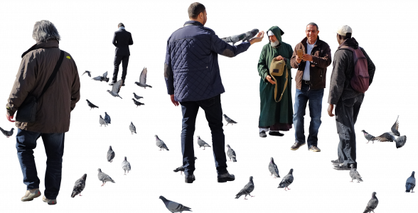 men among pigeons 26