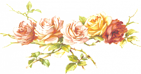 851-flowers4.png 155