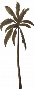 741-palm3.png 155