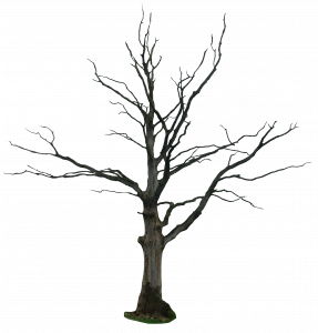 392-dead_tree_png_by_gd08_d3hs9tf.png 177