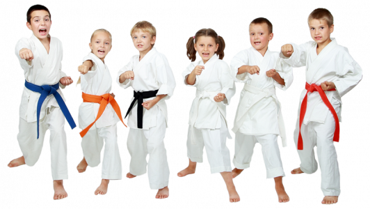 769-nic3b1os-judo-karate.png 193