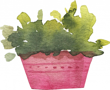 239-potted_0002_3.png 745