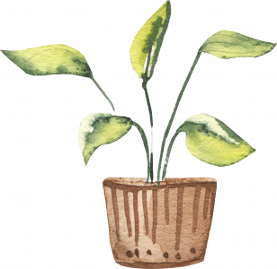 333-potted_0003_4.png 745