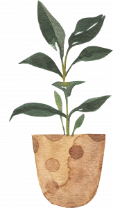 488-potted_0008_9.png 745