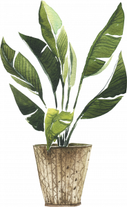 514-potted_0014_15.png 745