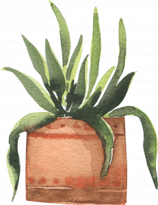 486-potted_0005_6.png