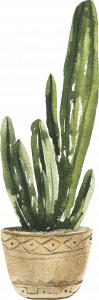 699-potted_0011_12.png